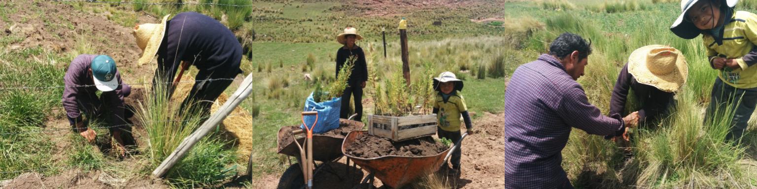 Huaman Quispe Soustanable Farm