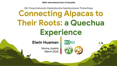 Connecting Alpacas to Their Roots - A Quechua Experience featured image